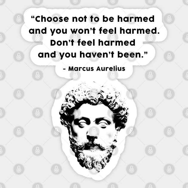 Marcus Aurelius Stoic wisdom Sticker by Trippycollage